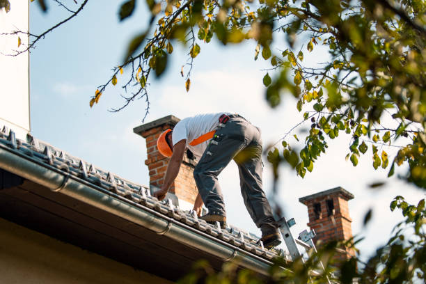 Best Tile Roofing Contractor  in Exander City, AL