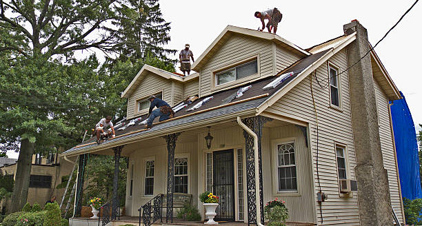 Best Metal Roofing Contractor  in Exander City, AL