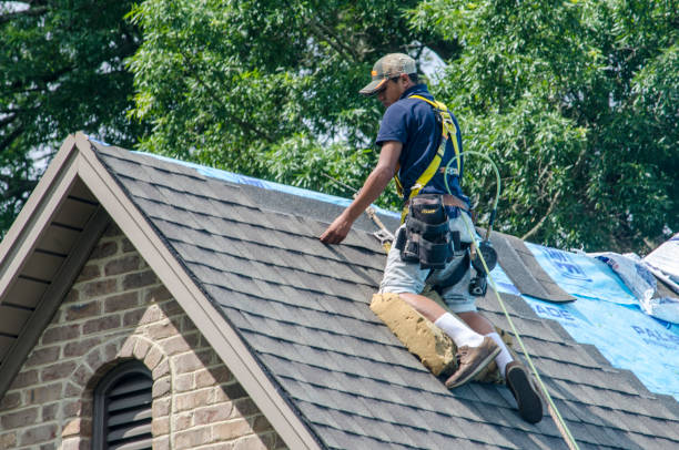 Best Residential Roofing Contractor  in Exander City, AL